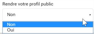 profil private public particeep